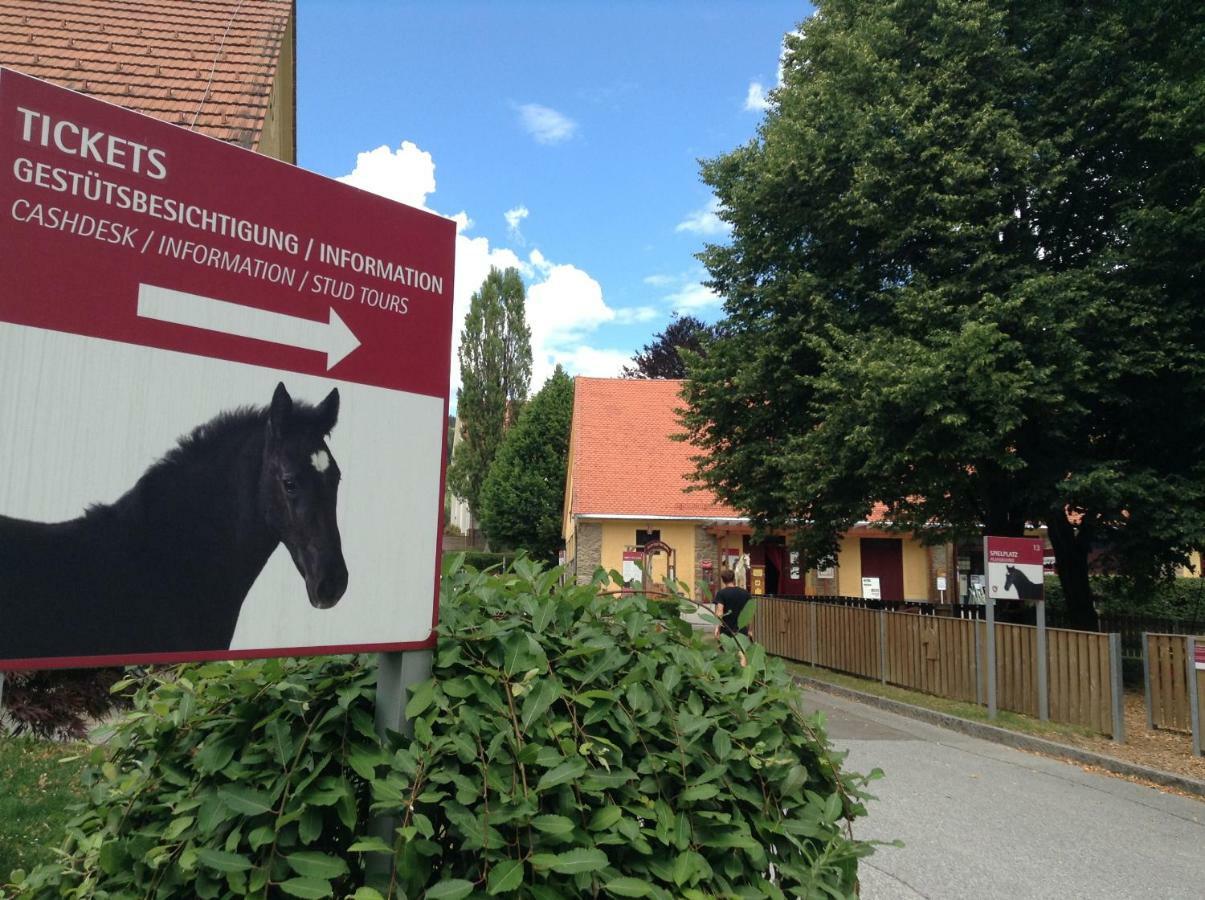 Weststeirische Ferienwohnung Piber Exteriér fotografie