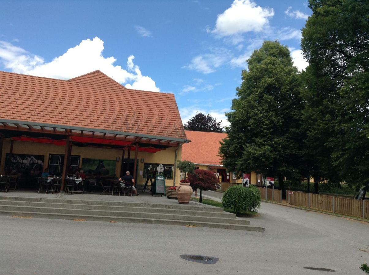 Weststeirische Ferienwohnung Piber Exteriér fotografie
